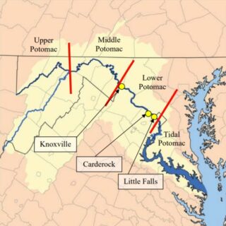 potomac mainstem biological